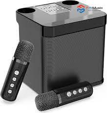 Loa Karaoke Mini YS-203