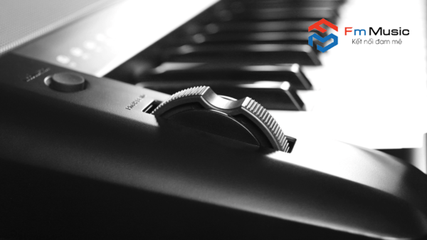 Đàn Organ Kurtzman K300S Đàn Organ Kurtzman K300S