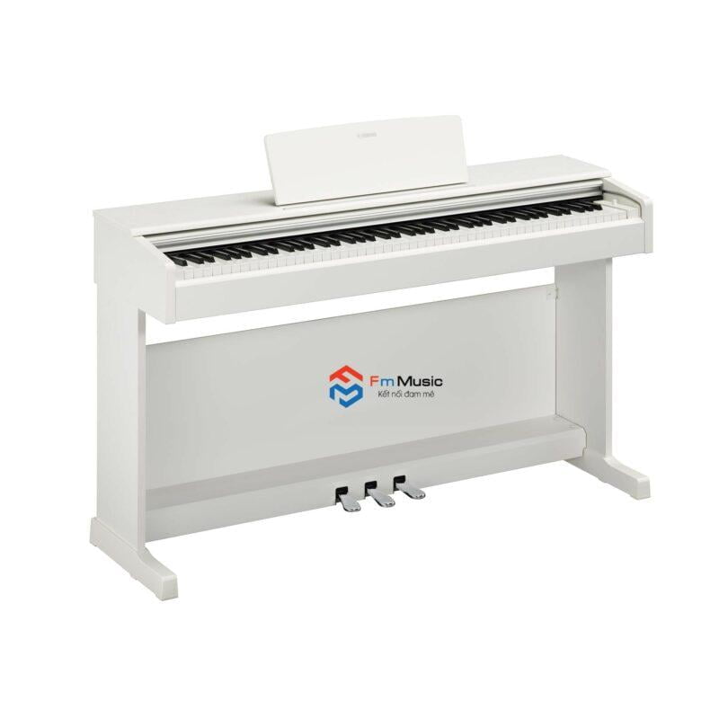 Đàn Piano Điện Yamaha YDP-145