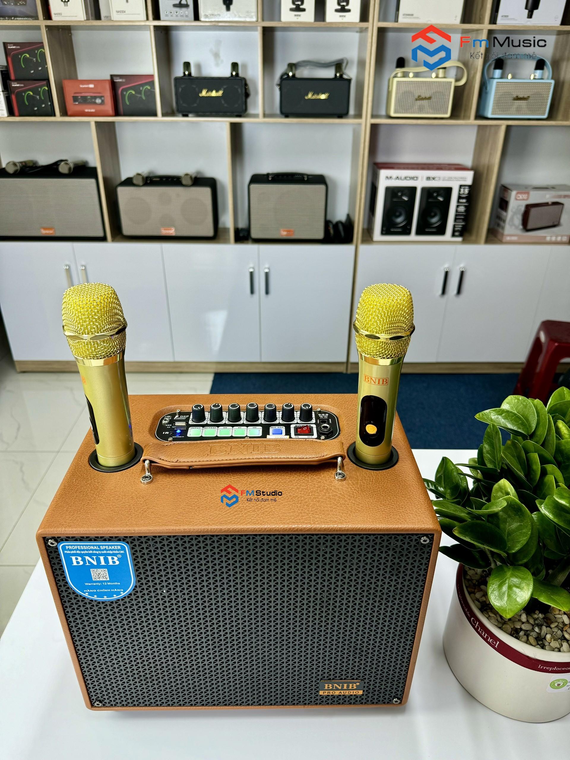 Loa Karaoke Xách Tay BNIB B6S Loa Karaoke Xách Tay BNIB B6S