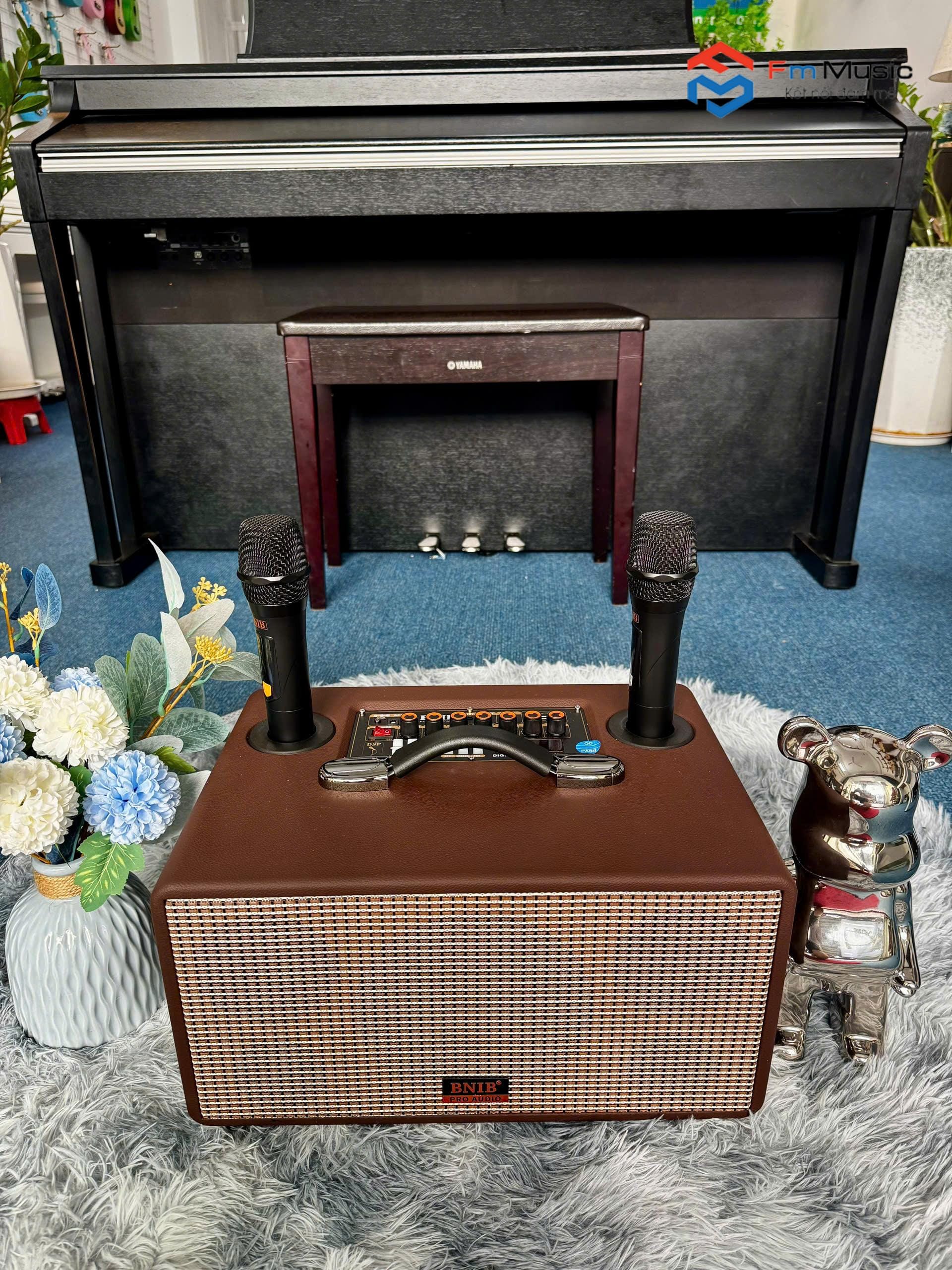 Loa Karaoke Xách Tay Bluetooth BNIB BN-116 Loa Karaoke Xách Tay Bluetooth BNIB BN-116