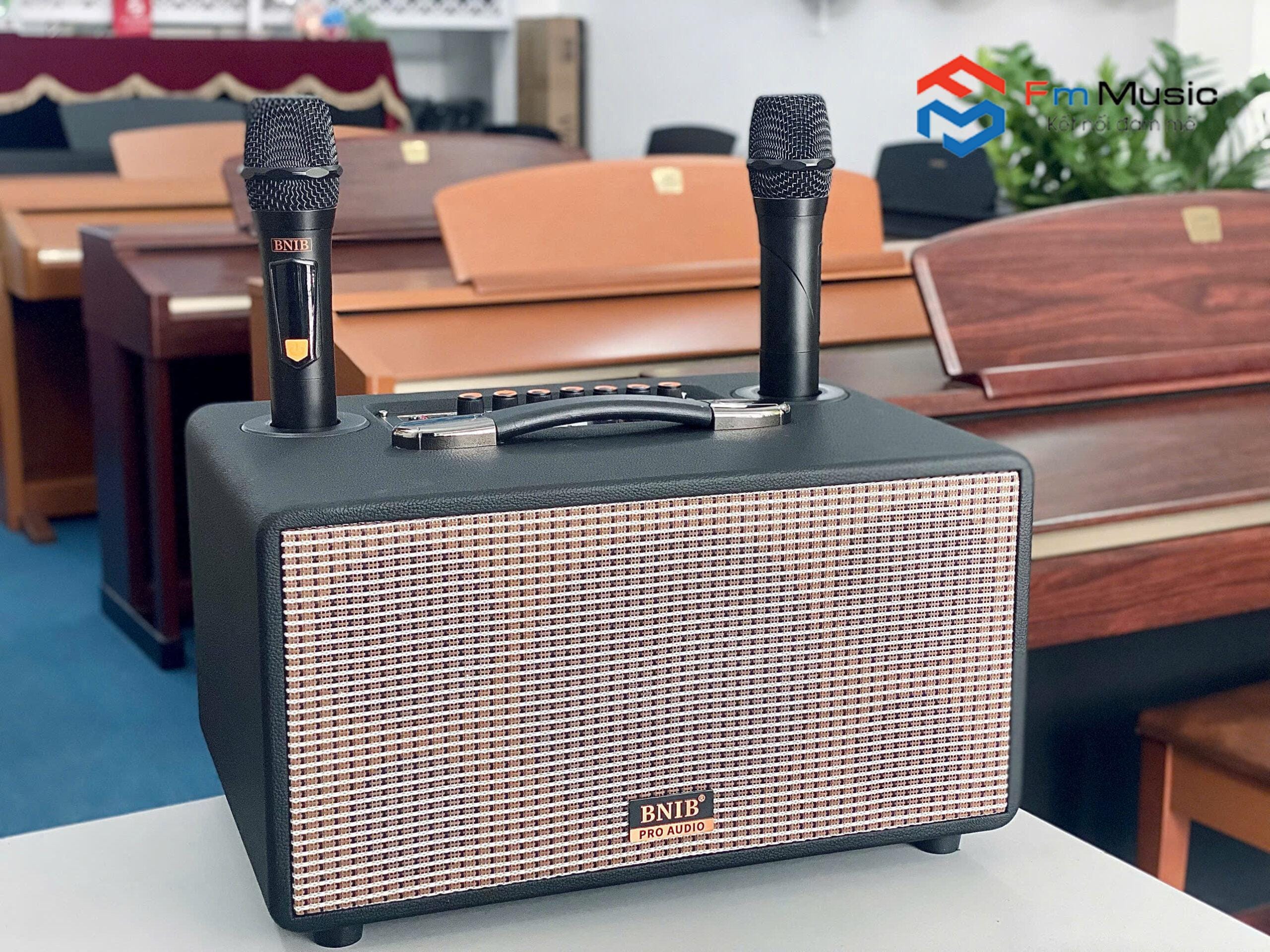 Loa Karaoke Xách Tay Bluetooth BNIB BN-116 Loa Karaoke Xách Tay Bluetooth BNIB BN-116