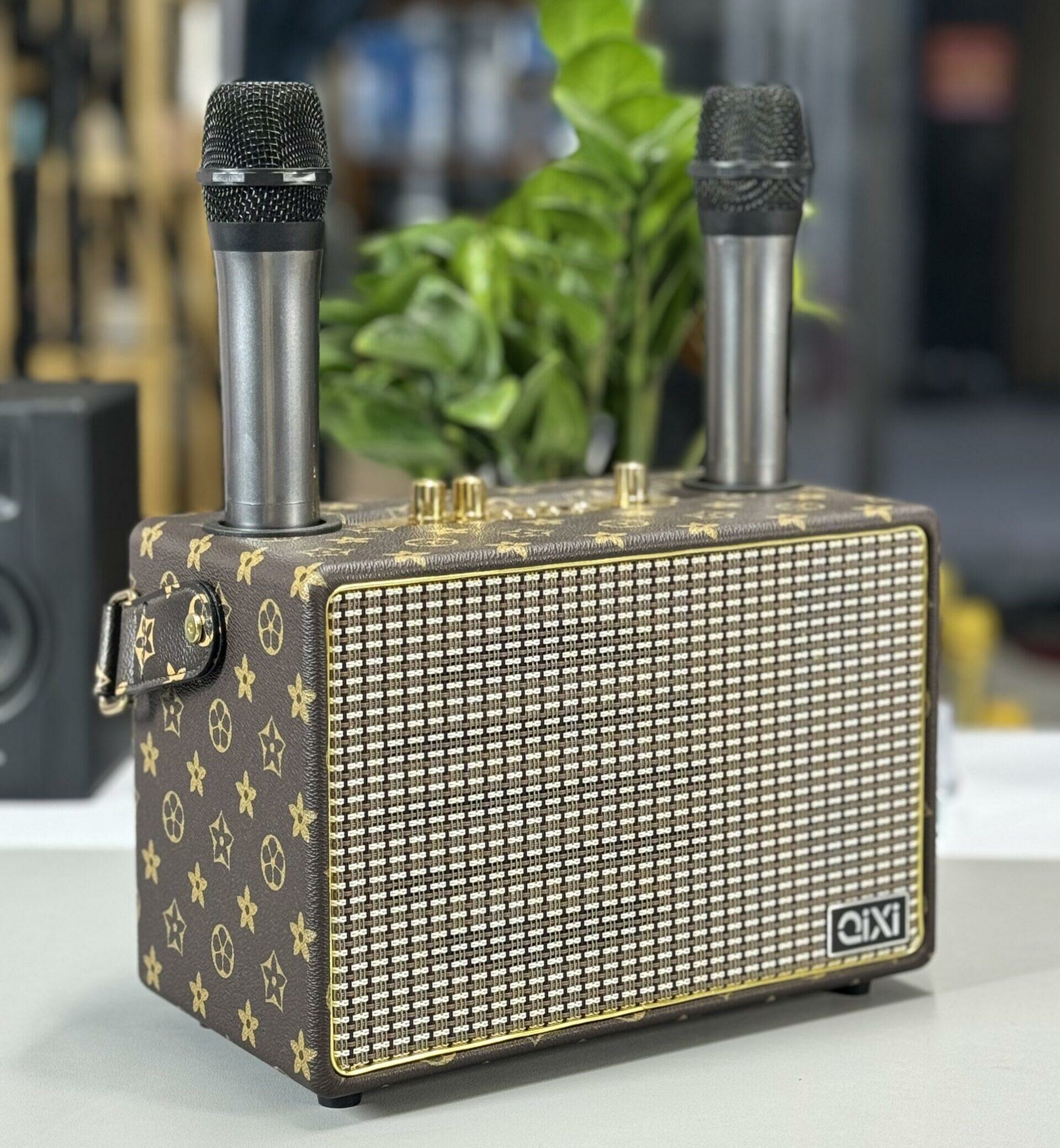 Loa Karaoke Mini Bluetooth Qixi SK-2036 Loa Karaoke Mini Bluetooth Qixi SK-2036