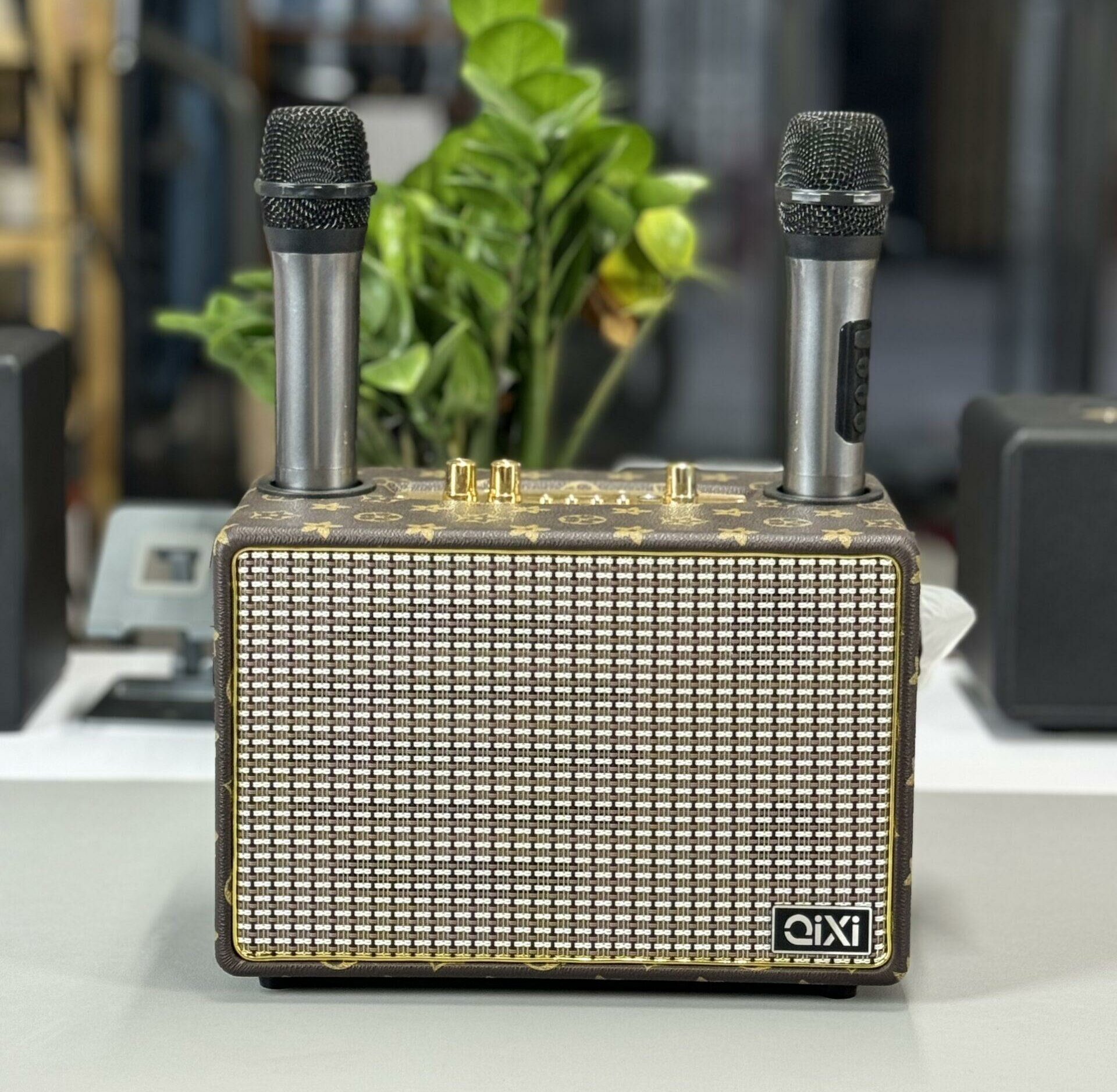 Loa Karaoke Mini Bluetooth Qixi SK-2036 Loa Karaoke Mini Bluetooth Qixi SK-2036