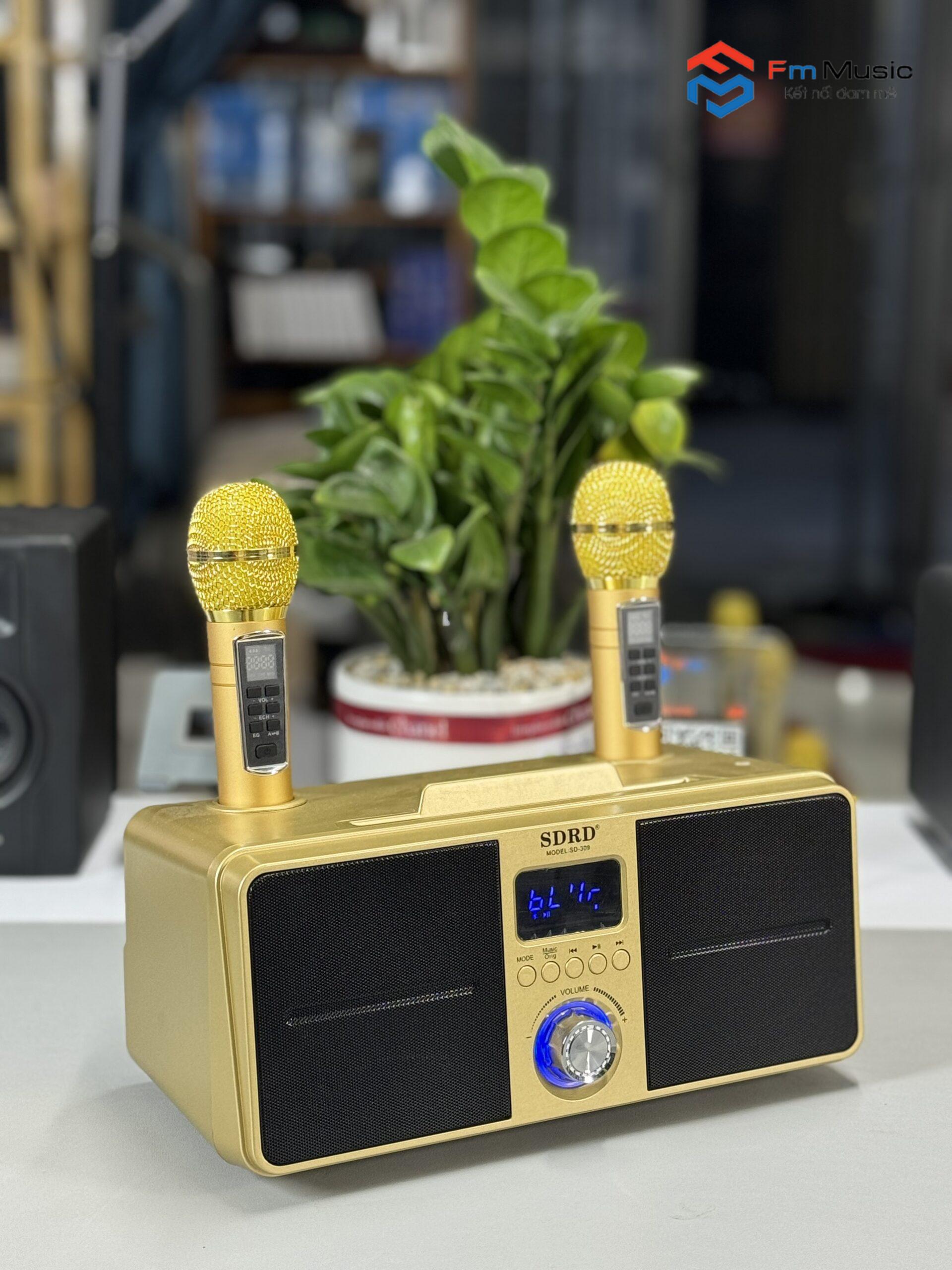 Loa Karaoke Mini SDRD SD-309 Loa Karaoke Mini SDRD SD-309