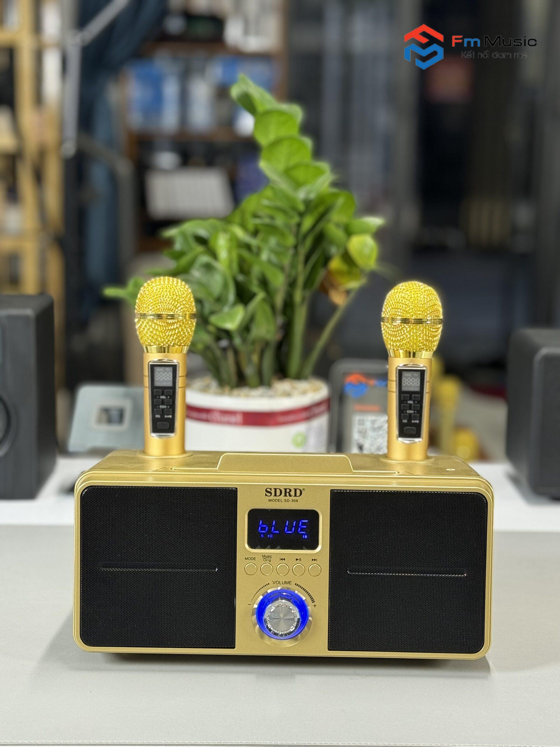 Loa Karaoke Mini SDRD SD-309 Loa Karaoke Mini SDRD SD-309