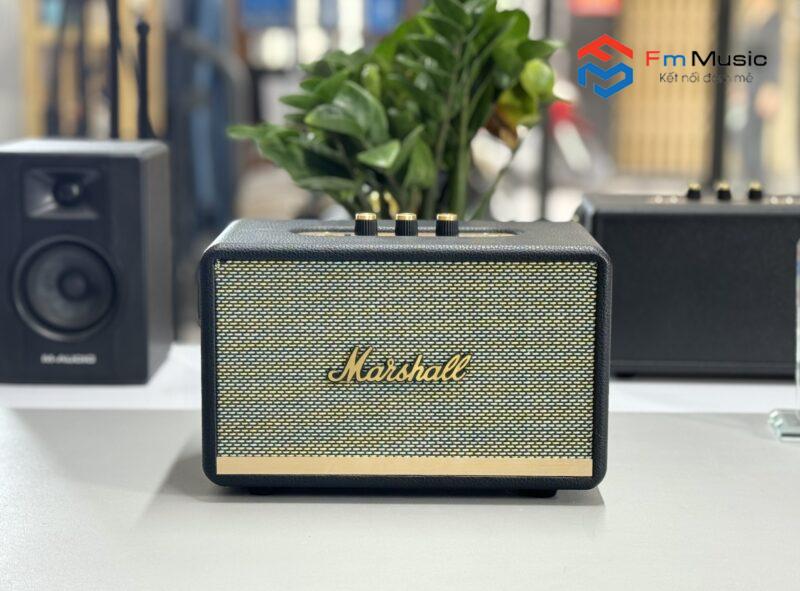 Loa Bluetooth Marshall M18