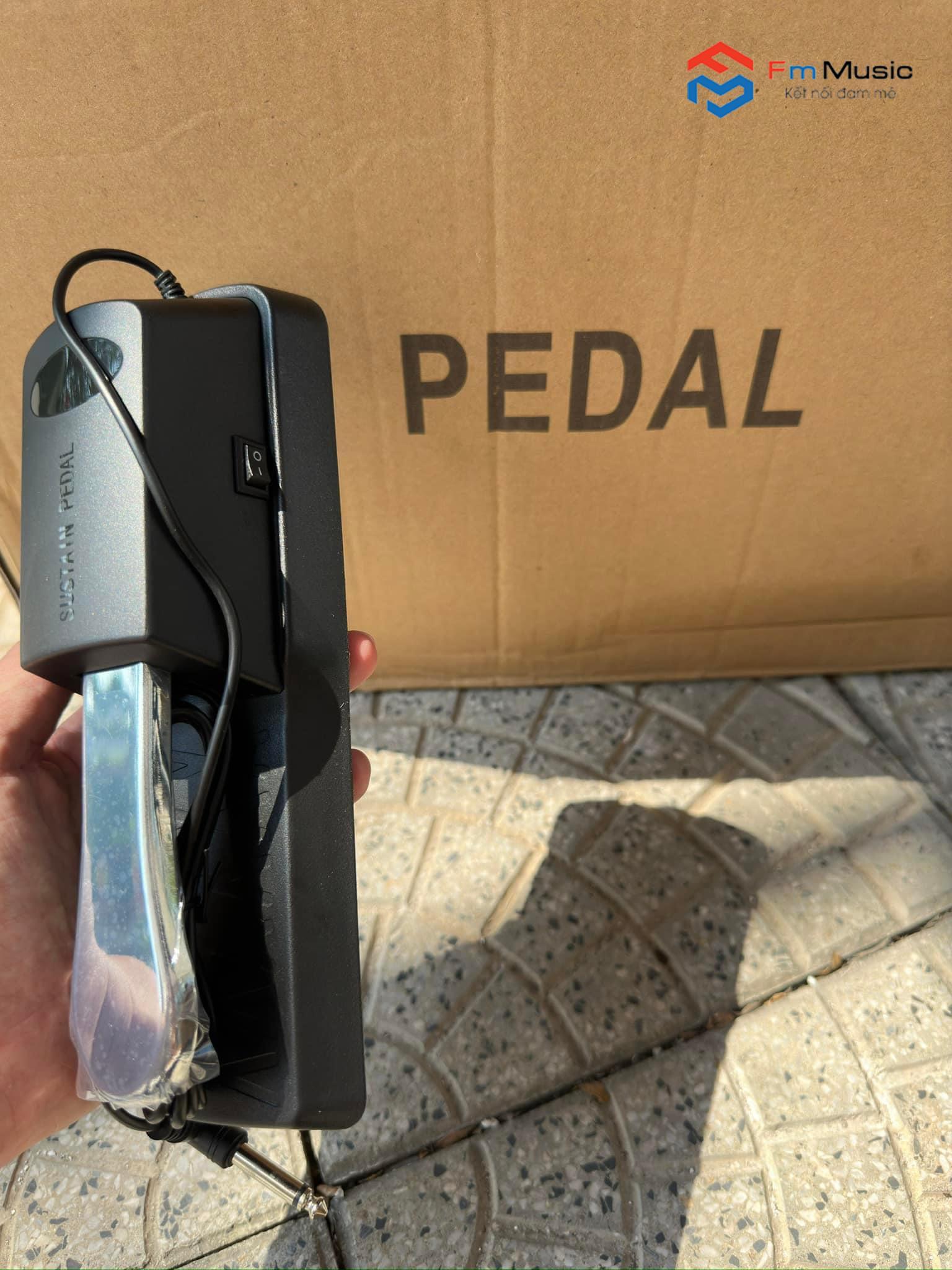 Pedal Đa Năng 2 Chiều Cho Đàn Piano Organ Pedal Đa Năng 2 Chiều Cho Đàn Piano Organ