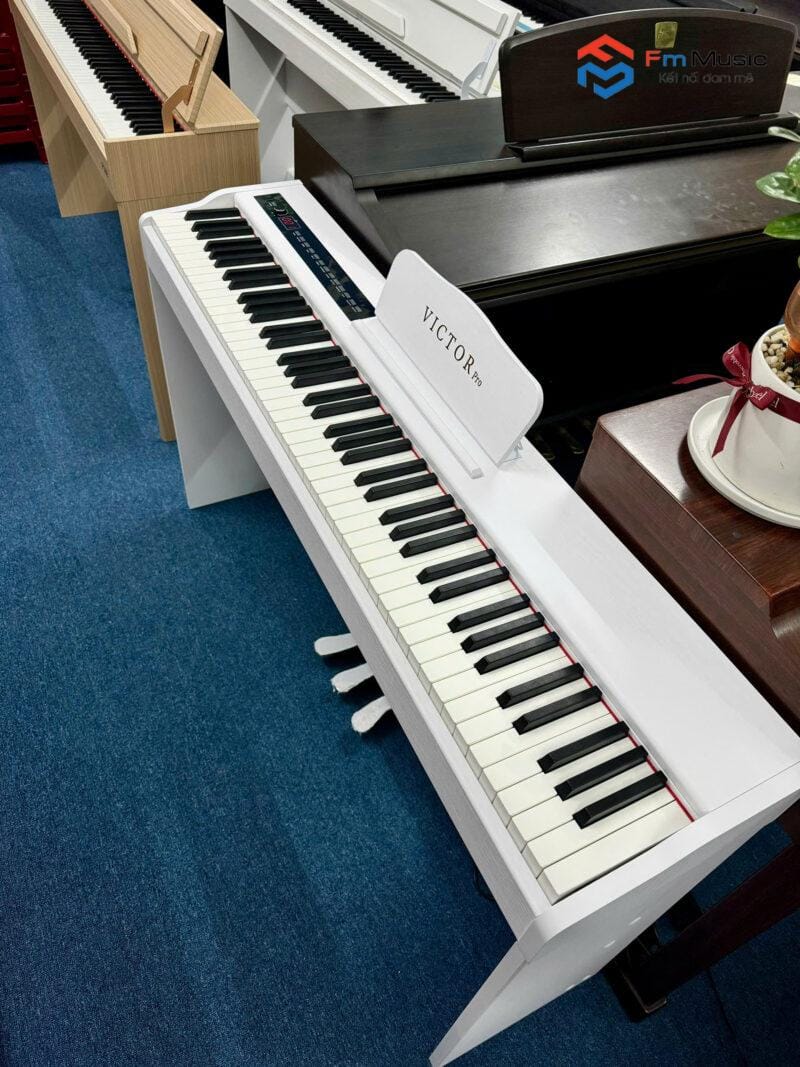 Đàn Piano Điện Victor Pro