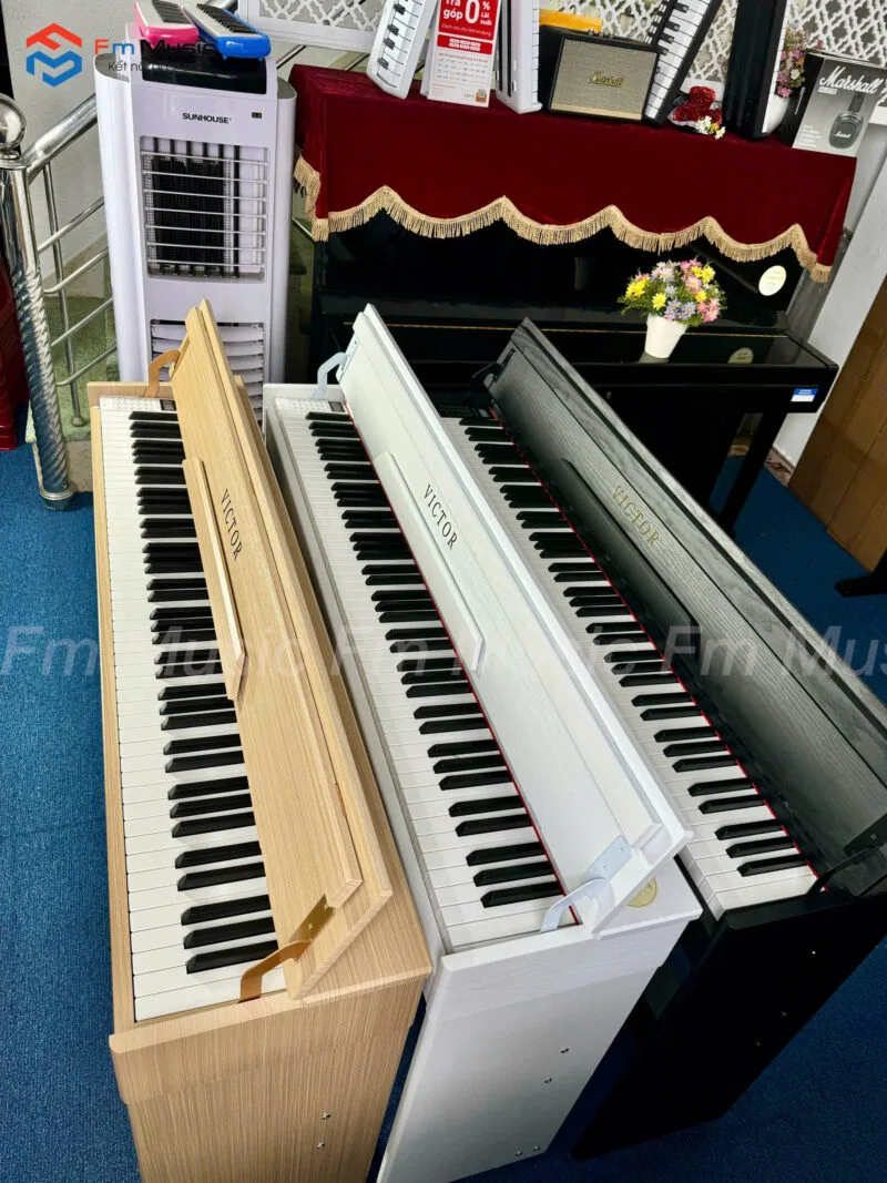 Đàn Piano Điện Victor P300