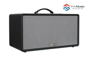 Loa Acnos FLAC 36 Loa Acnos FLAC 36