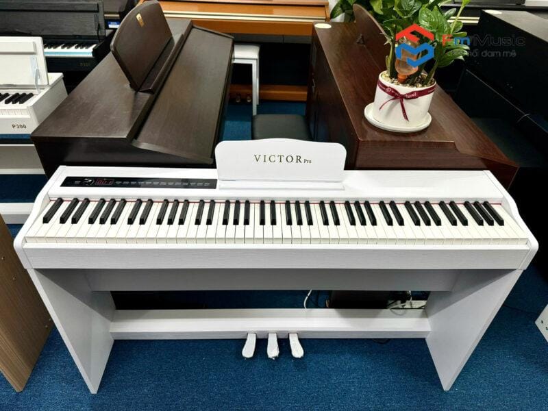 Đàn Piano Điện Victor Pro