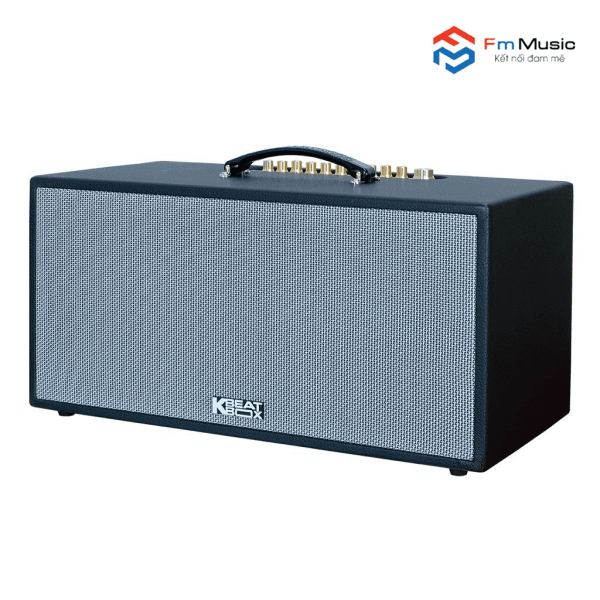 Loa Acnos CS451 PLUS Loa Acnos CS451 PLUS