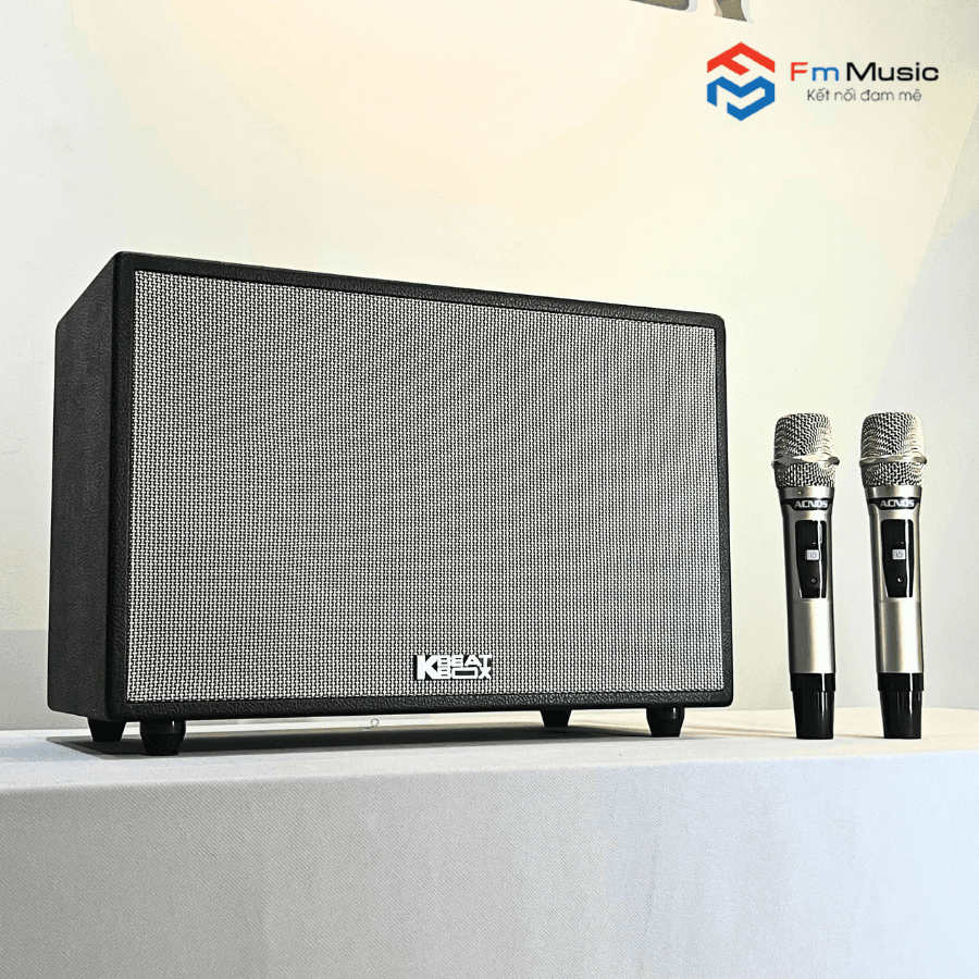 Loa Karaoke Acnos Hinet 3600 Loa Karaoke Acnos Hinet 3600