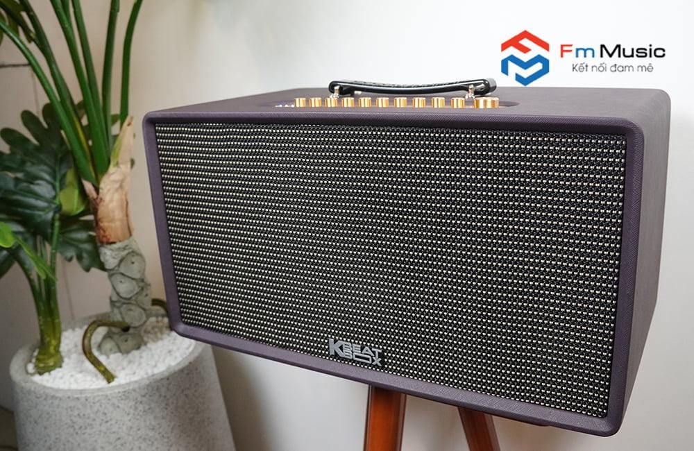 Loa Acnos FLAC 36 Loa Acnos FLAC 36