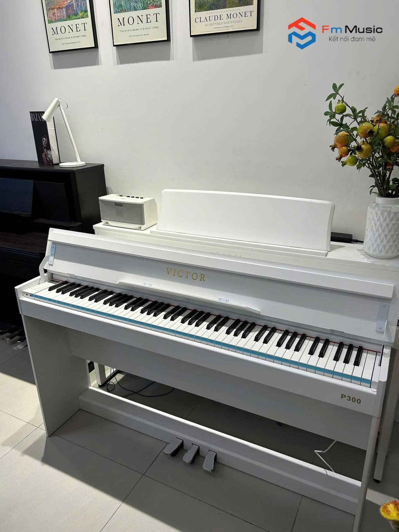 Đàn Piano Điện Victor P300 Đàn Piano Điện Victor P300