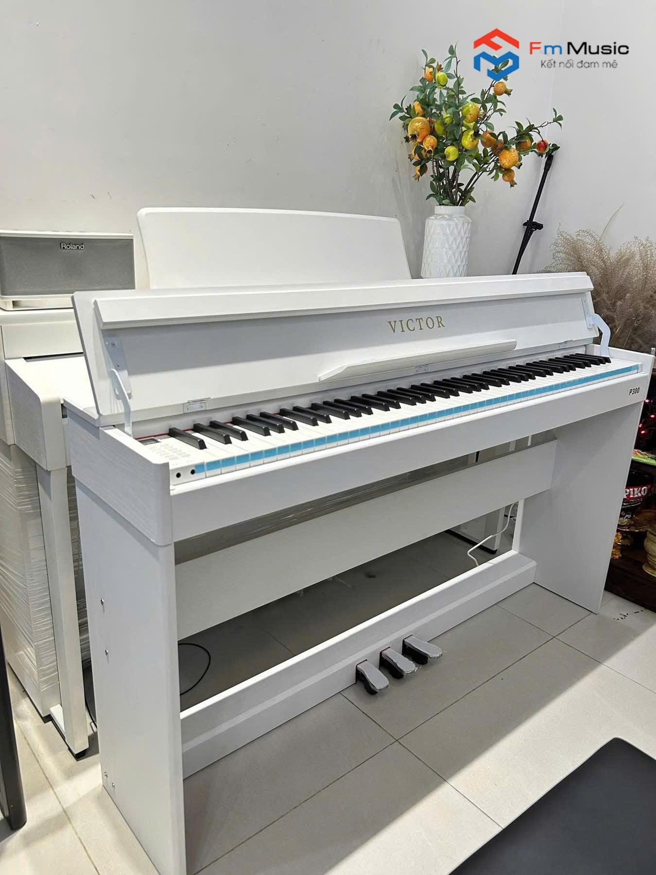 Đàn Piano Điện Victor P300 Đàn Piano Điện Victor P300