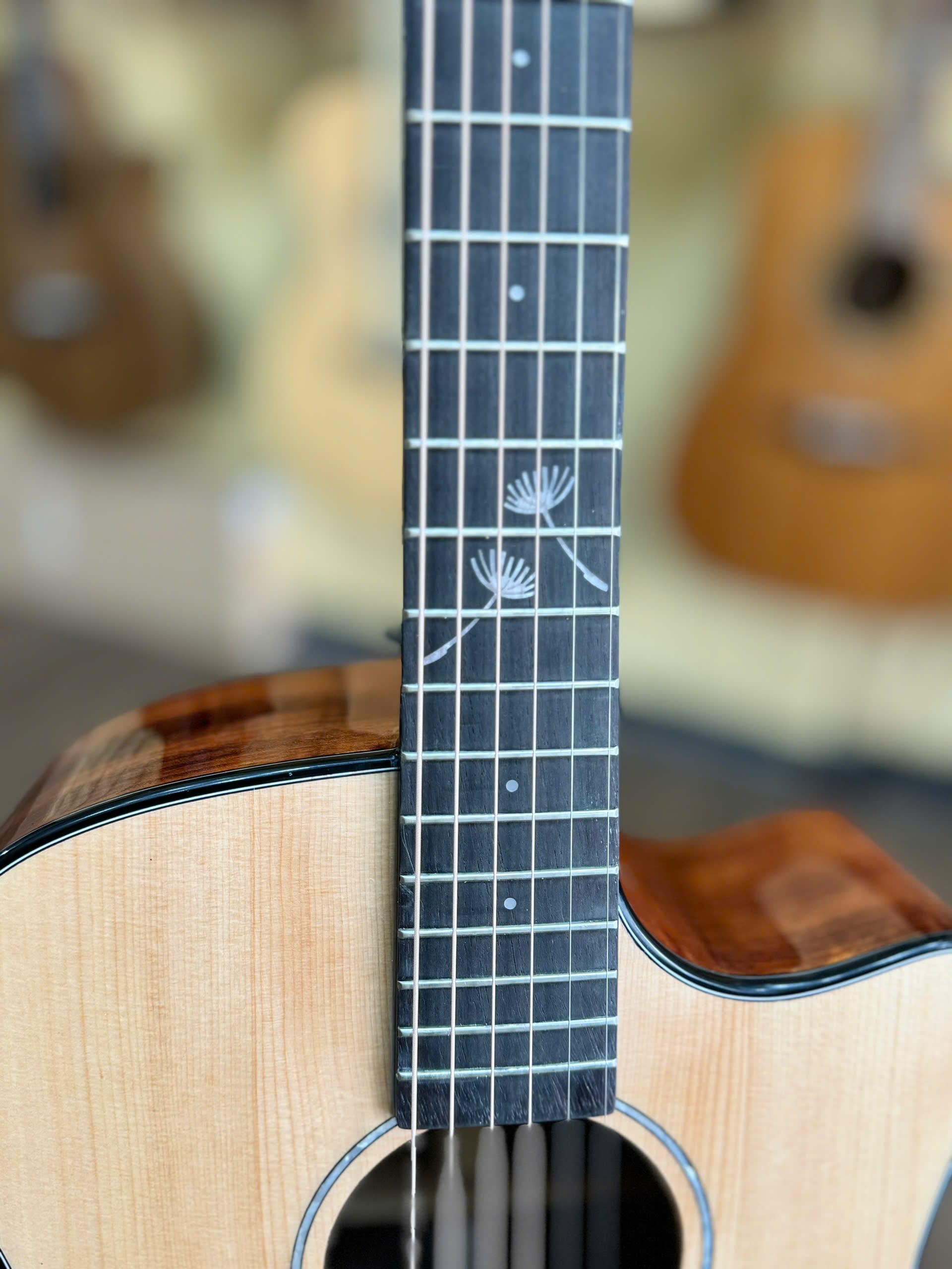 🎸 Guitar Dadarwood D10 – Lựa Chọn Hoàn Hảo Cho Người Yêu Âm Nhạc 🎸 🎸 Guitar Dadarwood D10 – Lựa Chọn Hoàn Hảo Cho Người Yêu Âm Nhạc 🎸