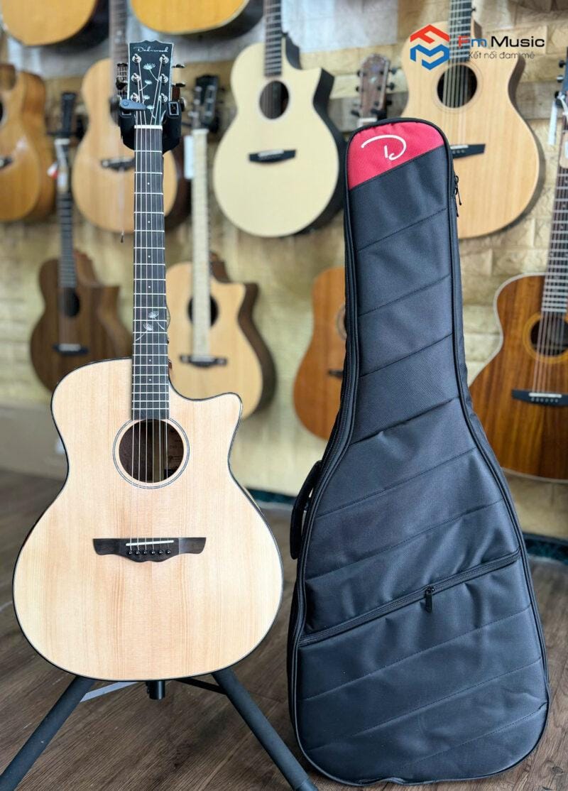 🎸 Guitar Dadarwood D10 – Lựa Chọn Hoàn Hảo Cho Người Yêu Âm Nhạc 🎸