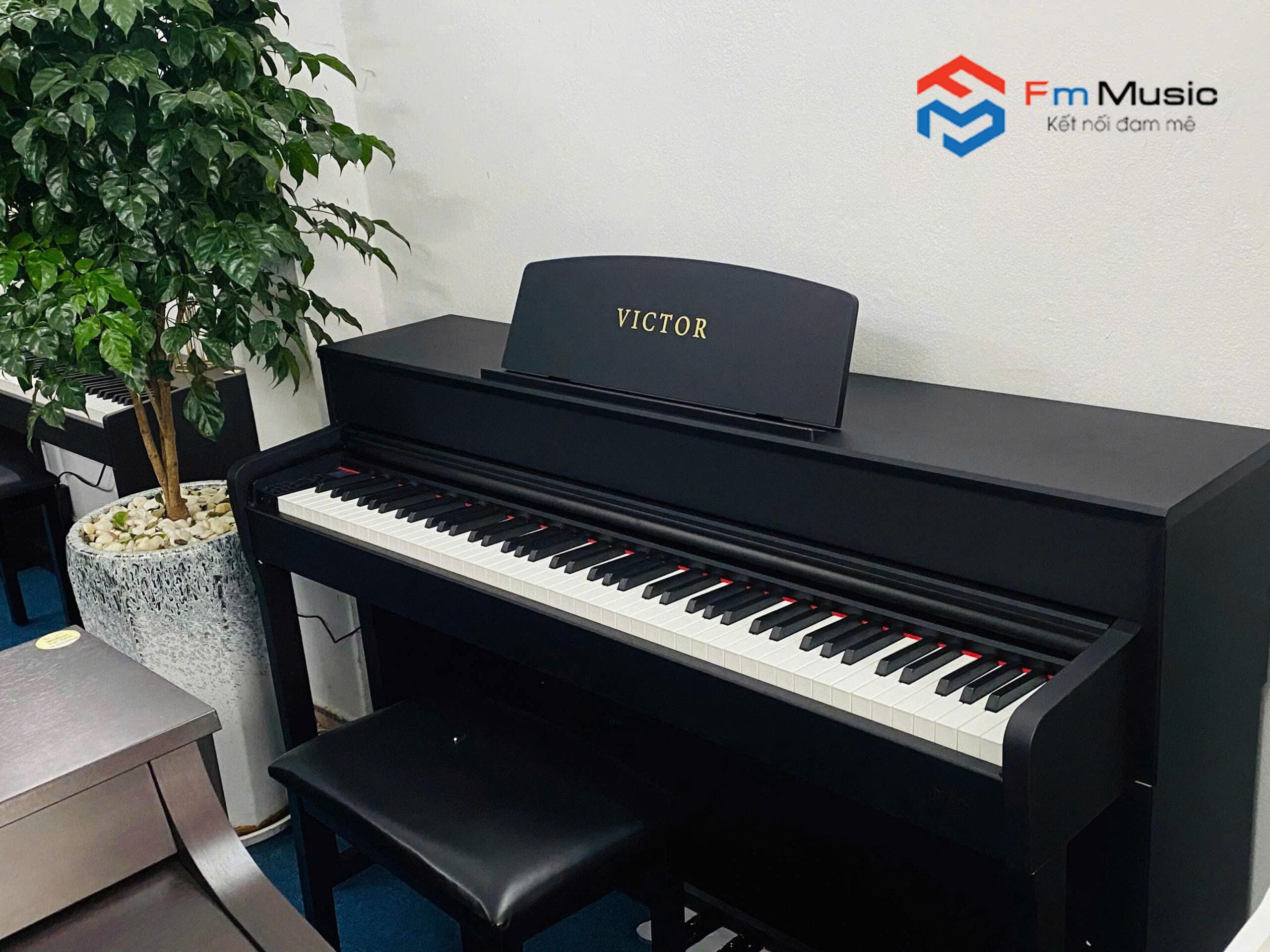 Piano Điện Victor P745 Tại Đà Nẵng – Đàn Piano 88 Phím Cao Cấp Giá Tốt Piano Điện Victor P745 Tại Đà Nẵng – Đàn Piano 88 Phím Cao Cấp Giá Tốt