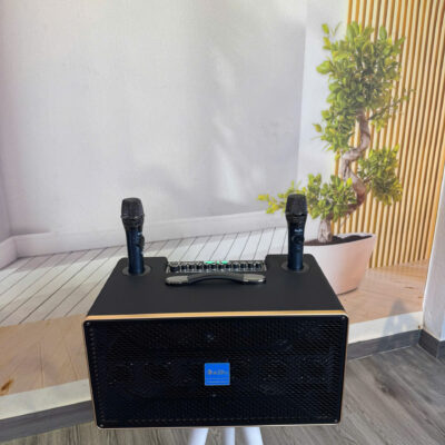 Loa AZPro Xách Tay AZ-D589 2 Bass 20 Chính Hãng Tại Đà Nẵng | Fm Music
